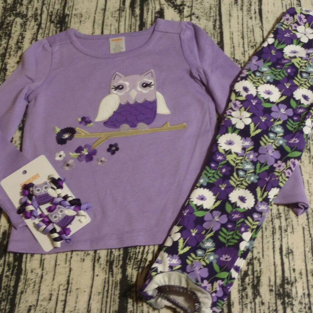 Gymboree Whooo's Cute 4T Leggings Owl Long Sleeve Shirt Hair Curly Clips Outfit